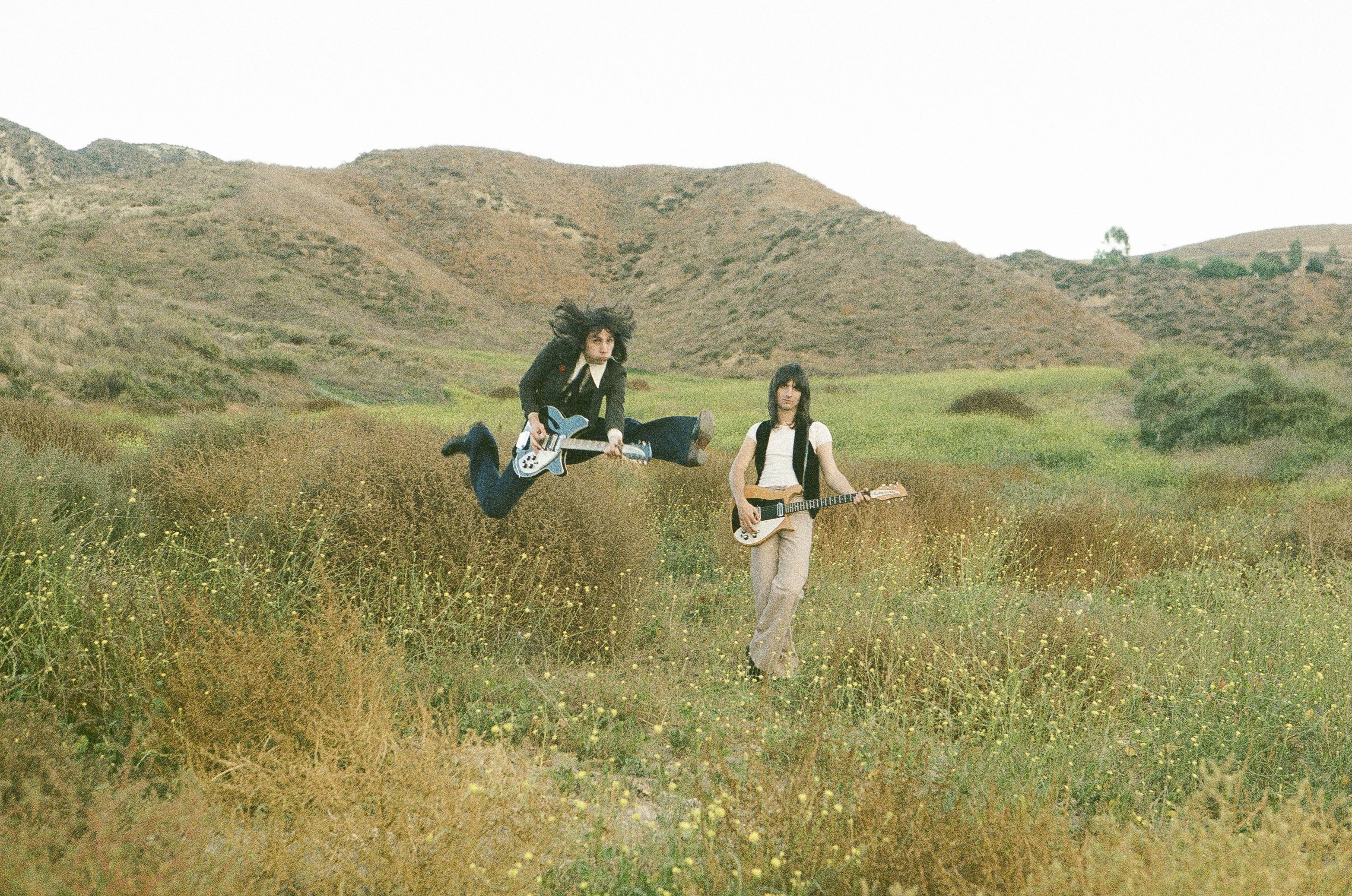 thelemontwigs